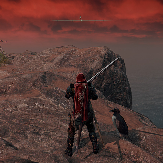 Chilling With Penguin