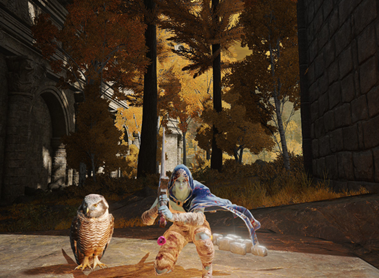 Owl Friend And I