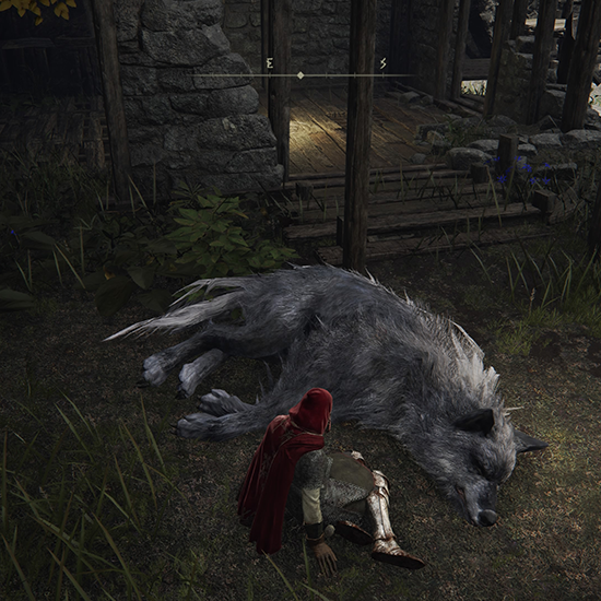 Sitting With Lobo