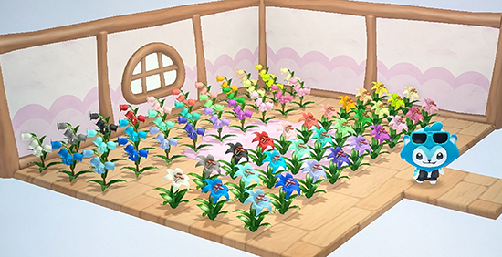 Current Bellbuttons and Dandelilys