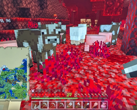 minecraft_dlroW_yM_farms_animals_in_the_nether_01