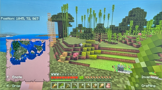 dlroW yM Jungle Area