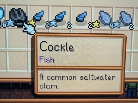 stardew_valley_cockle
